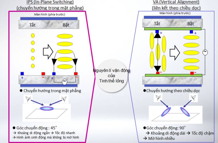 Tấm nền IPS là gì?