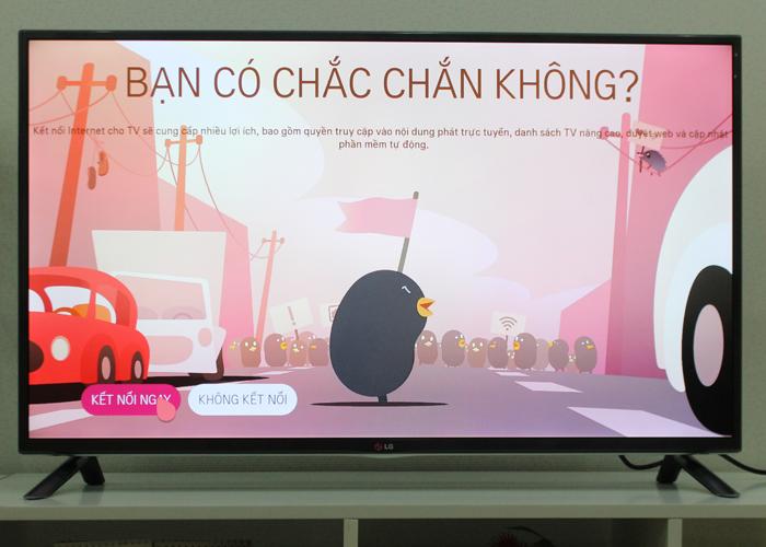 Bearn Bird hướng dẫn thiết lập ban đầu