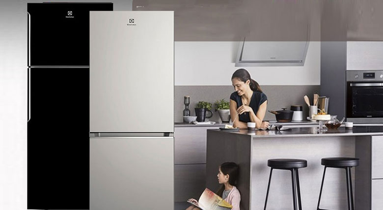 Tư Vấn Mua Tủ Lạnh Ngăn Đá Dưới Tiện Lợi