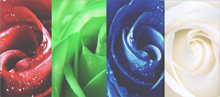 Công Nghệ Wide Colour Gamut Là Gì?