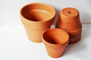 Cắm hoa cúc giản dị và thanh tao ngày 20/11