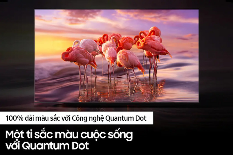 Công nghệ Quantum Dot cho mọi hình ảnh chân thực 