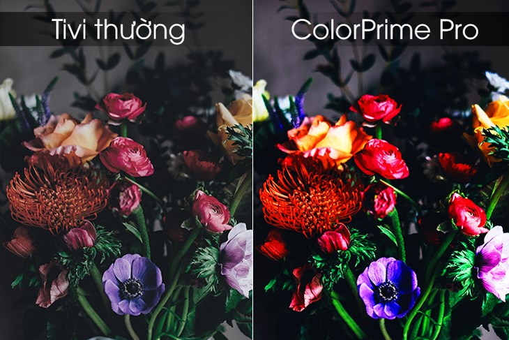 Công nghệ tăng cường dải màu ColorPrime