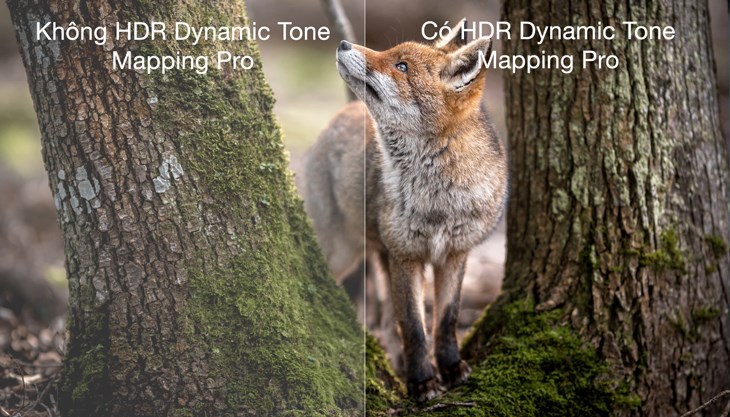 Dynamic Tone Mapping Pro