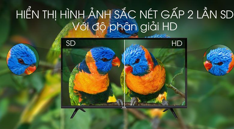 Trải nghiệm hình ảnh sống động và chân thực với Tivi TCL