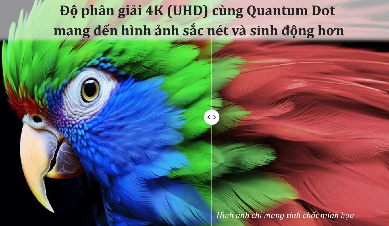 Độ phân giải 4K (UHD) cùng Quantum Dot mang đến hình ảnh sắc nét và sinh động hơn