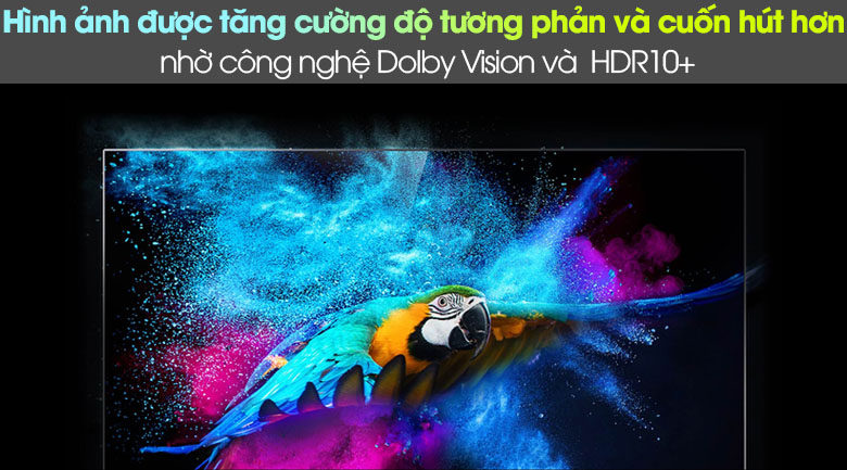 Tăng cường độ tương phản với sự kết hợp của HDR10+ và Dolby Vision