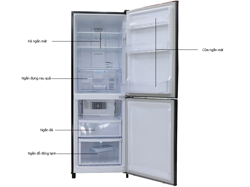 Google Tivi TCL 65P635 4K 65 inch