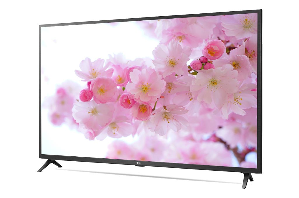 Tủ lạnh Panasonic NR-BV331WGKV 300 lít Inverter