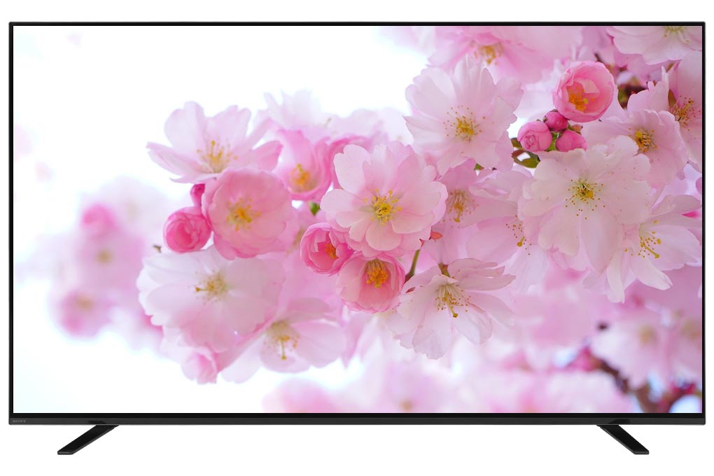 Google Tivi Mini QLED TCL 4K 75 Inch 75C845  